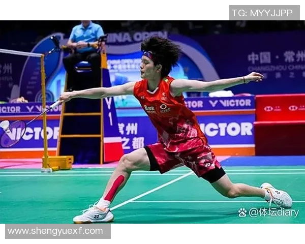 北京羽毛球队总决赛表现分析：意识与战术的完美结合与提升