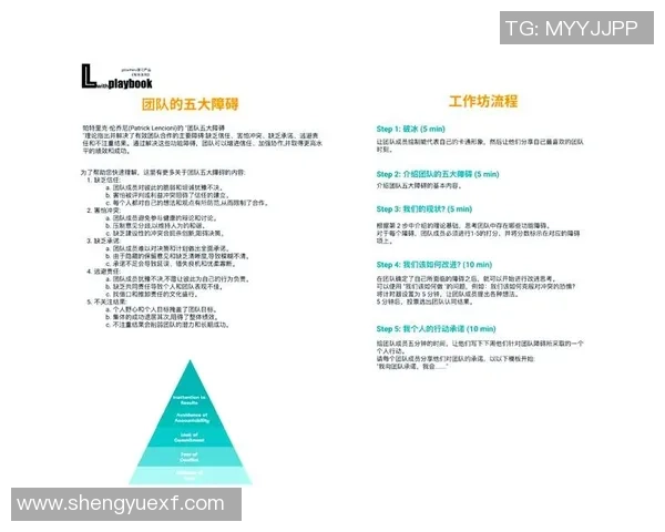 北京羽毛球队团队协作表现的数据分析与提升策略探讨